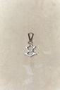 GZLZ_PRODUTOS13402.webp